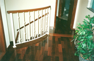 Escada modelo E55